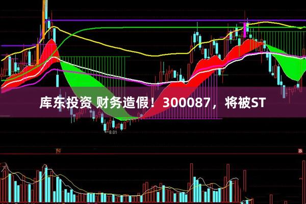 库东投资 财务造假！300087，将被ST