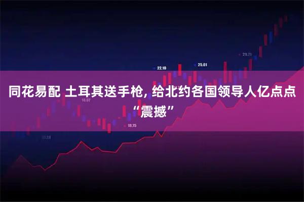 同花易配 土耳其送手枪, 给北约各国领导人亿点点“震撼”