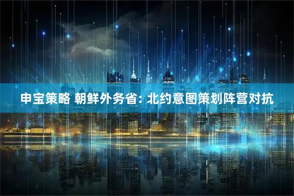 申宝策略 朝鲜外务省: 北约意图策划阵营对抗