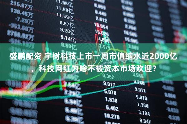 盛鹏配资 宇树科技上市一周市值缩水近2000亿，科技网红为啥不被资本市场欢迎？